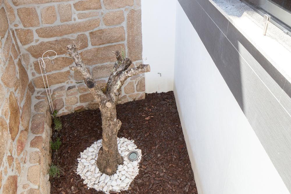 Casas Do Patio Country Houses & Nature Caldas da Felgueira Exterior photo